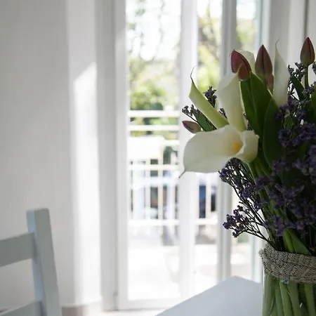 Apartament Ca Miciat *