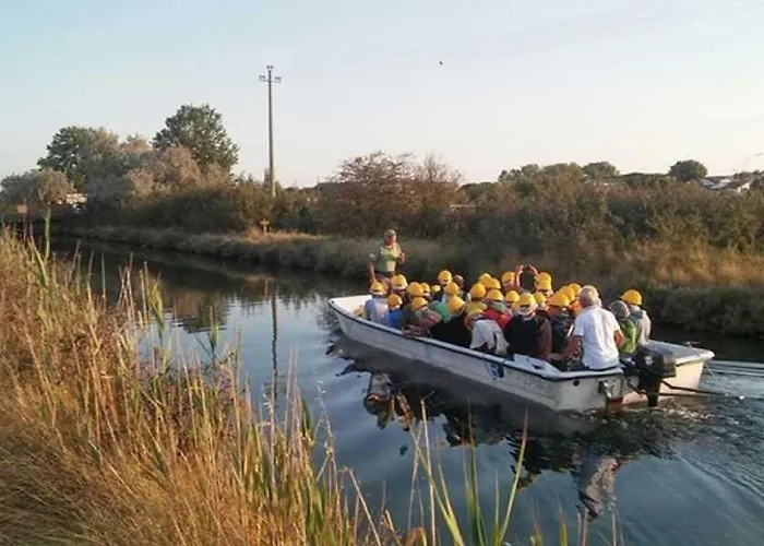 公寓 Ca Miciat 切尔维亚