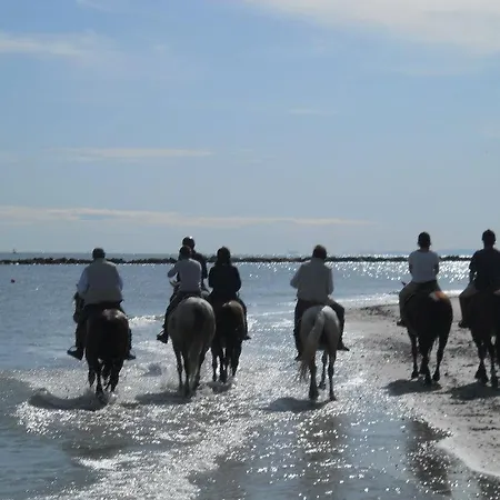 Ca Miciat Apartamento