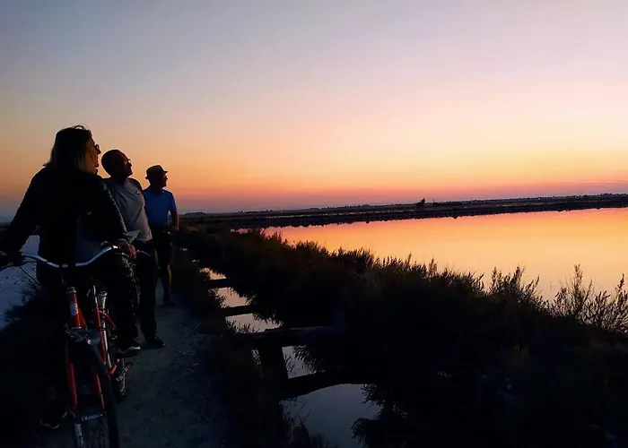 아파트 Ca Miciat 체르비아